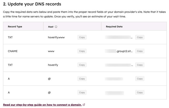 "Update your DNS records" details for copying DNS records.